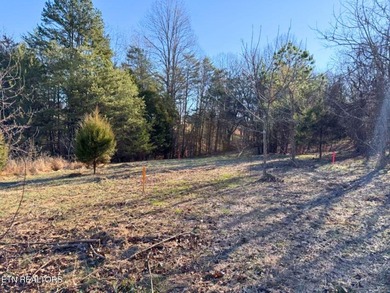Tellico Lake Lot For Sale in Vonore Tennessee