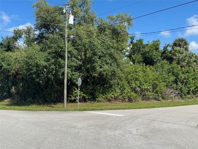 This s a CORNER LOT located in desirable Rotonda Heights with - photo 2