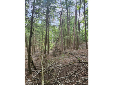 Great Building Site. Neighboring address is 10028 Spile Dam Rd - photo 11