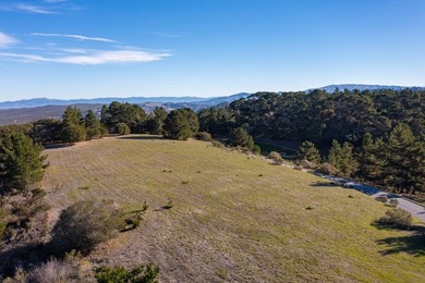 Welcome to one of Tehama's finest lots. Nestled on a ridgeline - photo 2
