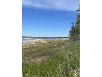 If you have been looking for Lake Huron lots, look no further! - photo 2