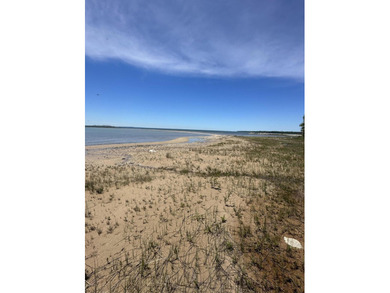 If you have been looking for Lake Huron lots, look no further! - photo 4
