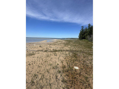 If you have been looking for Lake Huron lots, look no further! - photo 5