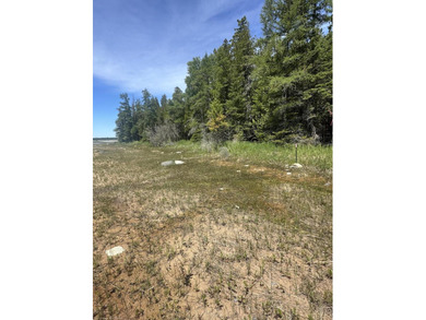 If you have been looking for Lake Huron lots, look no further! - photo 6