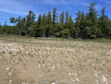 If you have been looking for Lake Huron lots, look no further! - photo 10