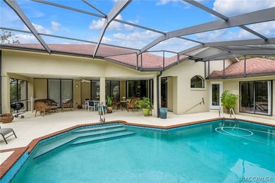 Vacant -Exceptional Find in Sugarmill Woods! Newly Reduced - photo 30