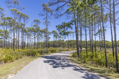 LOWEST PRICED UNIT in Tops'l in BOTH of the gulf front - photo 31