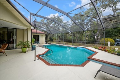 Vacant -Exceptional Find in Sugarmill Woods! Newly Reduced - photo 31