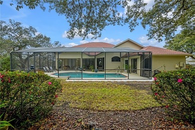 Vacant -Exceptional Find in Sugarmill Woods! Newly Reduced - photo 32