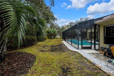 Vacant -Exceptional Find in Sugarmill Woods! Newly Reduced - photo 33