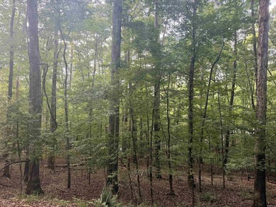 Rare Lake Cortez waterfront lot! Don't miss your opportunity for - photo 4