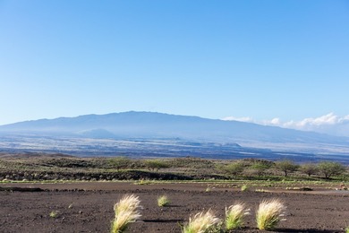 Perched at the crown of the Mauna Kea Resort, Hapuna Estates is - photo 3