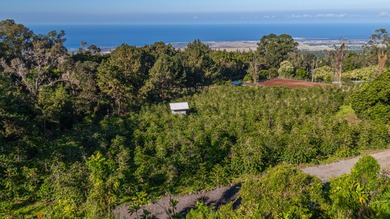A rare opportunity to own a 1-acre ocean-view building site in - photo 1