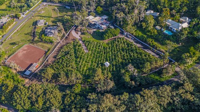 A rare opportunity to own a 1-acre ocean-view building site in - photo 6