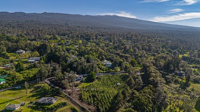 A rare opportunity to own a 1-acre ocean-view building site in - photo 10