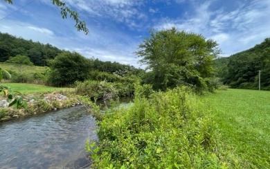 Toccoa River -Fannin County Acreage For Sale in Suches Georgia