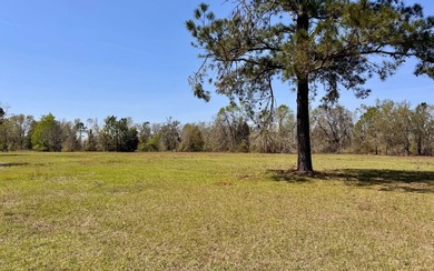 (private lake, pond, creek) Acreage For Sale in Jennings Florida