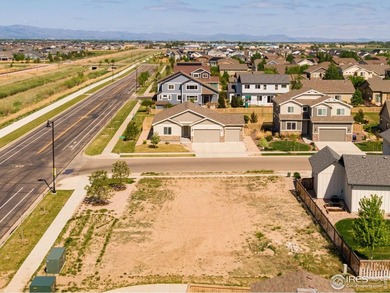 Build your dream home on this RARE lot in Timnath Ranch. This 7 - photo 6