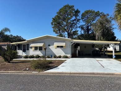 Lake Yale Home For Sale in Grand Island Florida