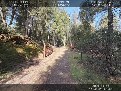 Two homes on over 18 acres with creek frontage and mature pines! - photo 4