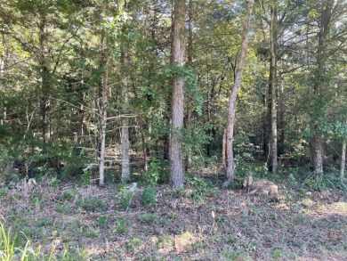 Greers Ferry Lake Acreage For Sale in Greers Ferry Arkansas