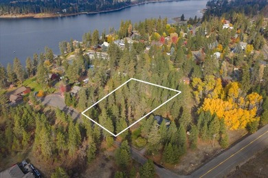 Clear Lake - Spokane County Lot For Sale in Medical Lake Washington