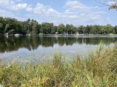 Lake Lot For Sale in Prescott, Michigan