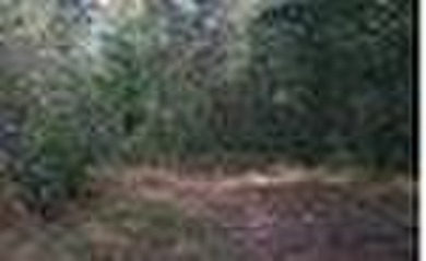 LOCATION,LOCATION!!! Large tract of land situated in the North - photo 1