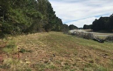 LOCATION,LOCATION!!! Large tract of land situated in the North - photo 2