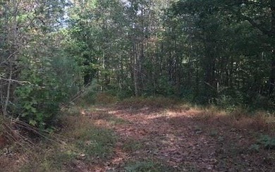LOCATION,LOCATION!!! Large tract of land situated in the North - photo 4