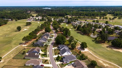 Welcome to Gregory Pointe at Deercreek Plantation! This - photo 13