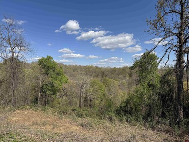 (private lake, pond, creek) Acreage For Sale in Harriet Arkansas