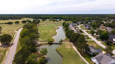 Welcome to Gregory Pointe at Deercreek Plantation! This - photo 24