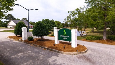Welcome to Gregory Pointe at Deercreek Plantation! This - photo 31
