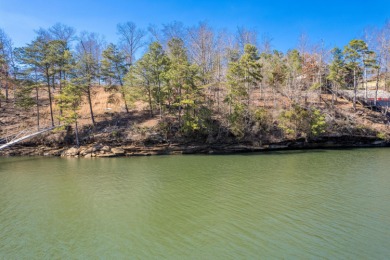 Smith Lake (Brushy Creek) One of the few deep water lots left in - photo 3