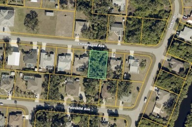 Nice dry lot on CITY Water ! Welcome to North Port FL. A great - photo 1