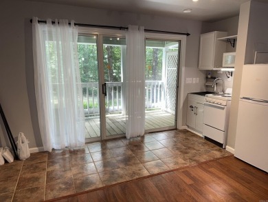 UPDATED STUDIO is ready for your furnishings. New and never used - photo 6