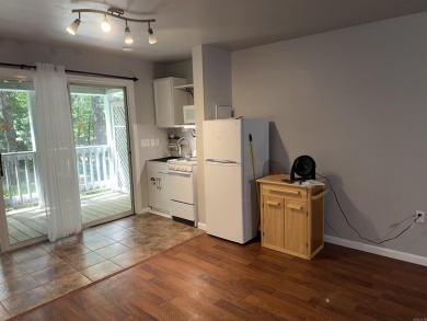 UPDATED STUDIO is ready for your furnishings. New and never used - photo 7