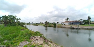 Cleared 80' X 125' canal front lot in an area of newer homes - photo 4