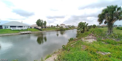 Cleared 80' X 125' canal front lot in an area of newer homes - photo 6