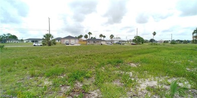 Cleared 80' X 125' canal front lot in an area of newer homes - photo 7