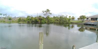 Cleared 80' X 125' canal front lot in an area of newer homes - photo 9