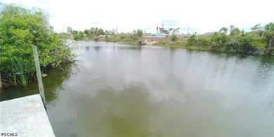 Cleared 80' X 125' canal front lot in an area of newer homes - photo 10