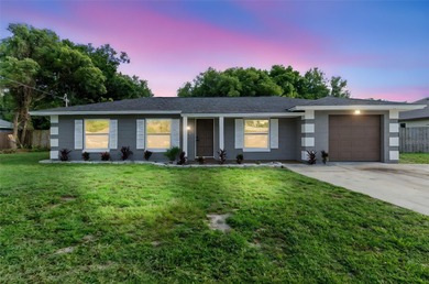 Cub Lake  Home Sale Pending in Apopka Florida