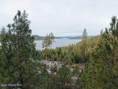 Vacant land offering breathtaking lake views with utilities - photo 3