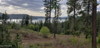 Vacant land offering breathtaking lake views with utilities - photo 4