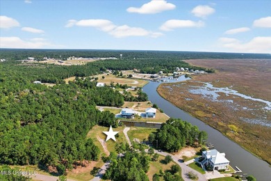2 cleared lots on the South side of Diamondhead ready for you to - photo 1