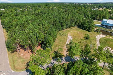 2 cleared lots on the South side of Diamondhead ready for you to - photo 2