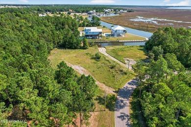 2 cleared lots on the South side of Diamondhead ready for you to - photo 4