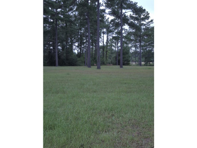 Nice, level, cleared 1 acres lot on Point A Lake. There is 125' - photo 5